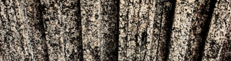 黒カビが発生した外壁