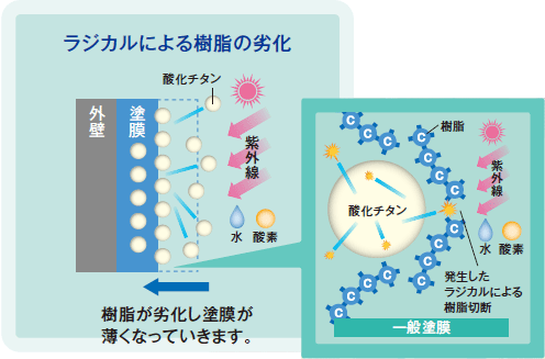 一般塗膜。ラジカルによる樹脂の劣化