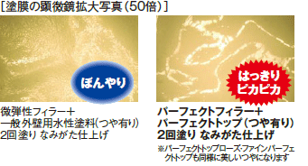 塗膜の顕微鏡拡大写真(50倍) パーフェクトトップの方が一般外壁用水性塗料に比べてはっきりピカピカしている。