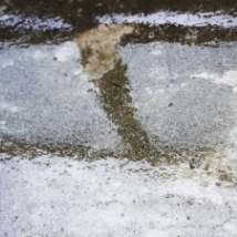 黒く汚れた防水層