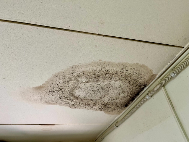 雨漏り：天井のシミ