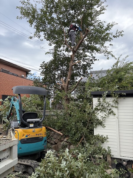 四日市M様邸樹木撤去① 