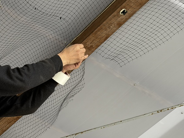 朝日町-倉庫-鳥よけネット復旧