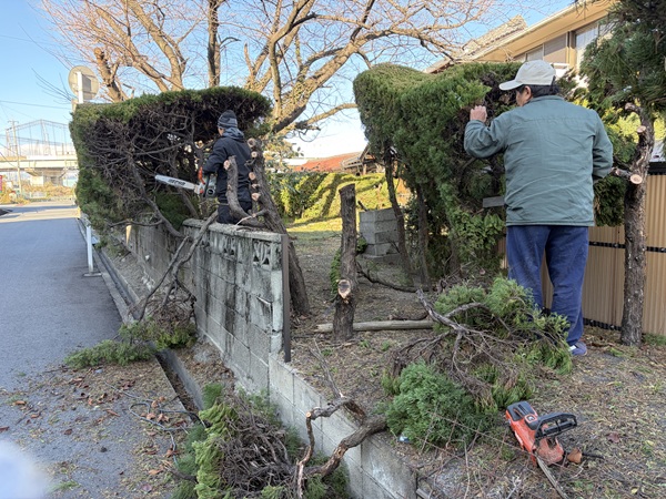 四日市市-I様邸-樹木撤去